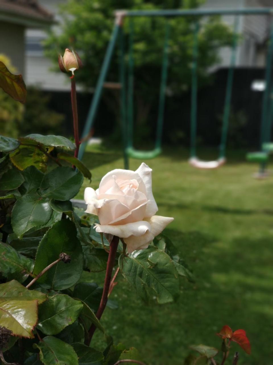 패리 모텔 크라이스트처치 외부 사진